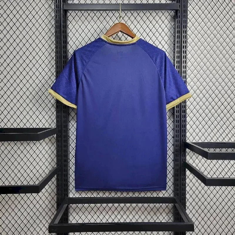 2024/2025 Japan Blue Dragon Special Edition Football Jersey FTBL4ALL