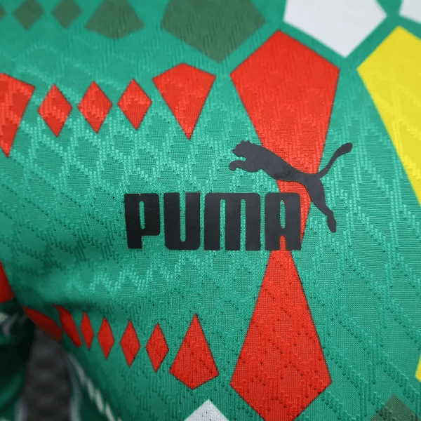 2023/2024 Player Version Senegal National Team Home Shirt FTBL4ALL