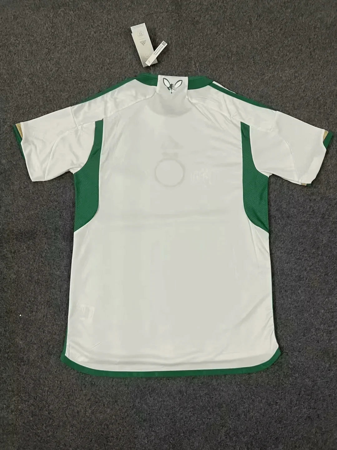 2023/2024 Algeria National Team Home Shirt FTBL4ALL