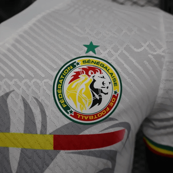 2023/2024 Player Version Senegal National Team Away Shirt FTBL4ALL