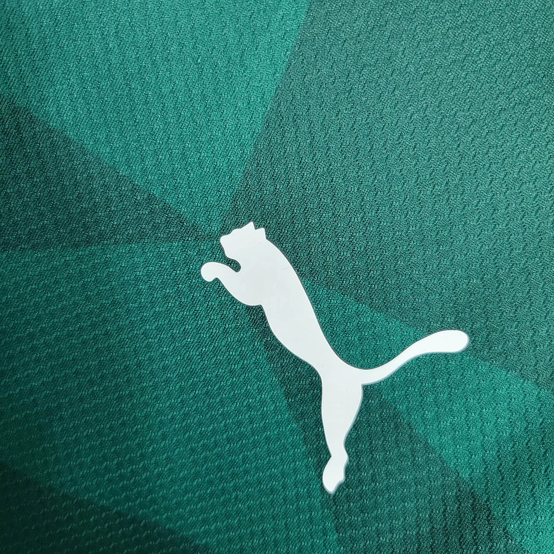 2023/2024 Palmeiras Home Football Shirt 1:1 Thai Quality FTBL4ALL