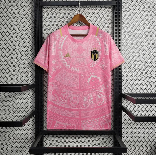 2023/2024 Italy Special Edition Pink Soccer Shirt FTBL4ALL