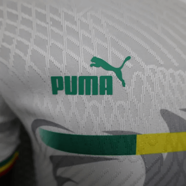 2023/2024 Player Version Senegal National Team Away Shirt FTBL4ALL