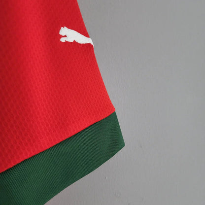 2022 FIFA World Cup Morocco National Team Home Shirt FTBL4ALL